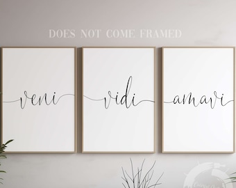 Veni Vidi Amavi, Poster Prints, Minimalist Wall Decor, Set of 3