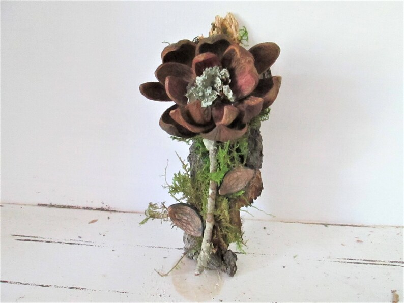 Hickory Nut Hull Feet and Toes Craft Supplies Nature Art Etsy