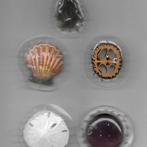 May include: An assortment of small, round objects in clear containers. Includes a dark, amorphous shape, a seashell, a gear, a sand dollar, and a dark, round stone. The objects are set against a gray background.