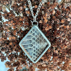Shed Snakeskin Pendant | Unique Jewelry | Cruelty Free | Ethically Sourced | Sustainable | Reptile | Serpent | Herpetology | Rattlesnake