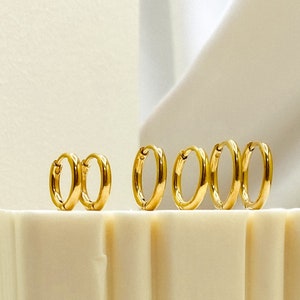 Small hoops earrings 316L Surgical Steel Hoops Earrings Dainty Hoop Earrings Huggie Hoops Earrings Minimal Hoops image 1