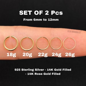 PACK OF 2 UNITS Nose Ring, Nose Ring Silver, Nose Ring Gold, Nose Ring Rose, Nose Ring Hoop, Nose Ring 18g, Nose Ring 20g, Nose Ring 22g. image 1