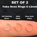 see more listings in the Fake nose rings section