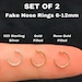 see more listings in the Fake nose rings section