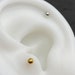 see more listings in the Labret Studs section