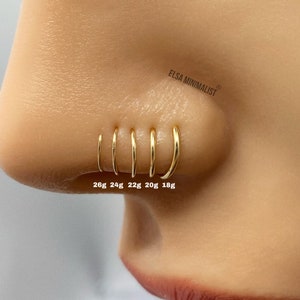 PACK OF 2 UNITS Nose Ring, Nose Ring Silver, Nose Ring Gold, Nose Ring Rose, Nose Ring Hoop, Nose Ring 18g, Nose Ring 20g, Nose Ring 22g. image 4