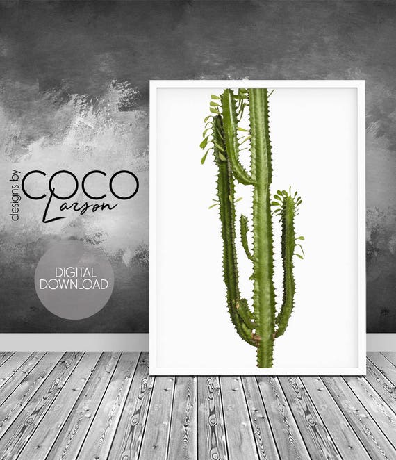 Printable cactus art cactus poster cactus print succulent Etsy