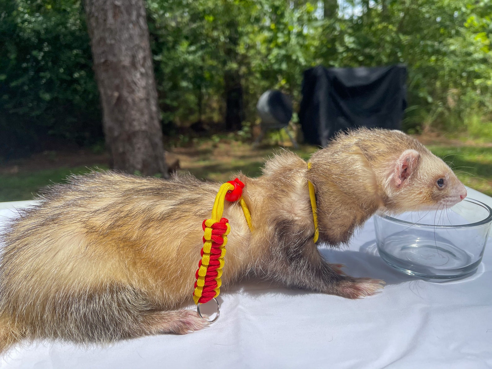 Figure 8 Harness for Ferret or Small Pet Gryffindor Inspired Etsy