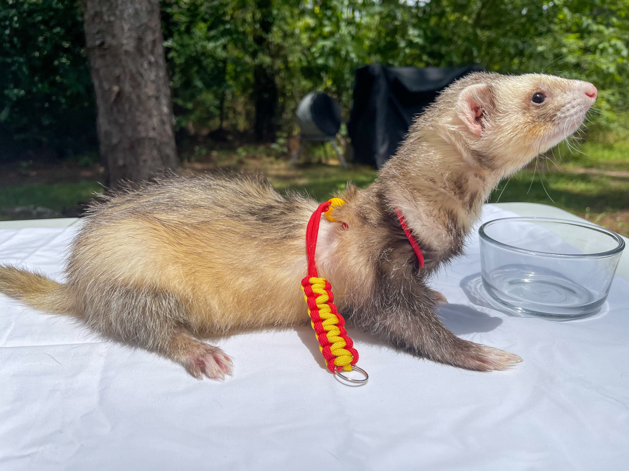 Figure 8 Harness for Ferret or Small Pet Gryffindor Inspired Etsy