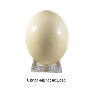 May include: A clear acrylic stand for displaying an ostrich egg. The stand has a square base and a round top. Ostrich egg not included.