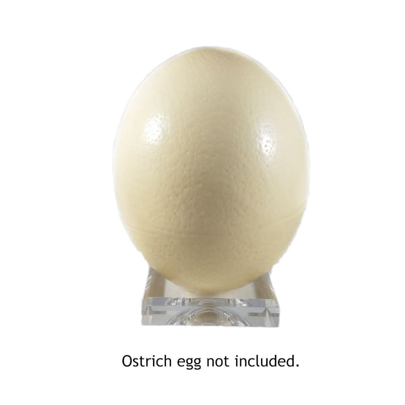 May include: A clear acrylic stand for displaying an ostrich egg. The stand has a square base and a round top. Ostrich egg not included.