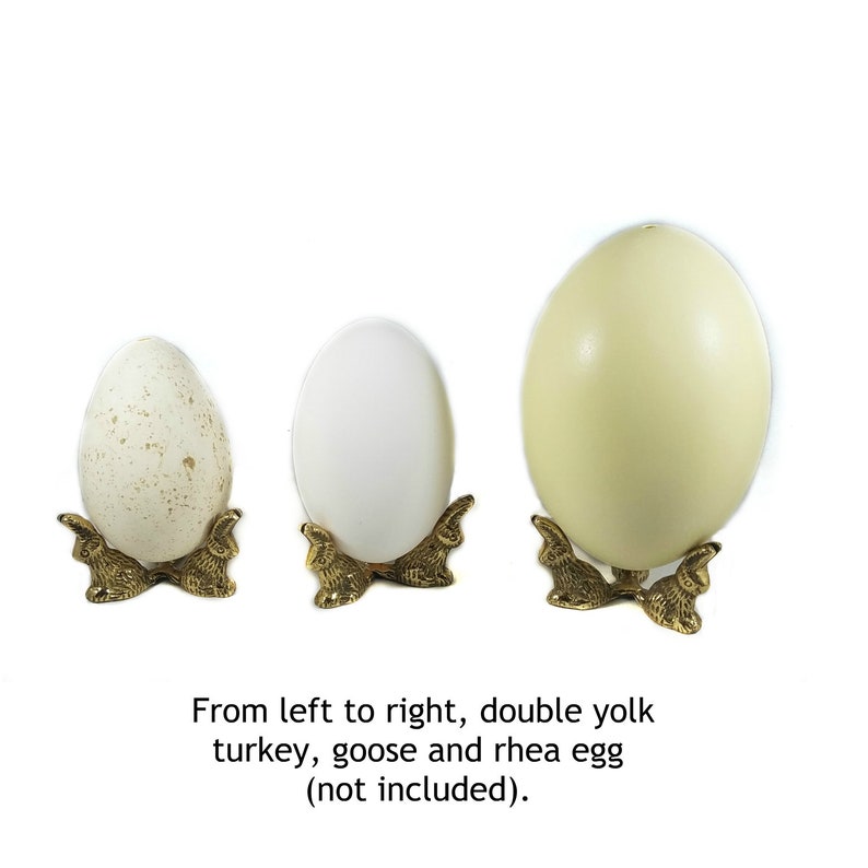 May include: Three different sized eggs on brass bunny-shaped stands. From left to right: a speckled turkey egg, a white goose egg, and a large, pale yellow rhea egg.
