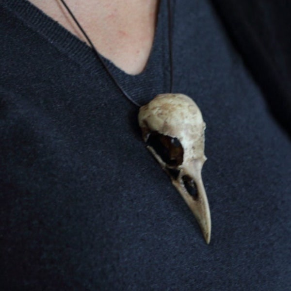 Crane de corbeau réplique en pendentif Bone Jewelry Raven Skull Necklace Resin Cast Skull, Crow, Goth Bird Skull, Gothic Gift, Skull Jewelry