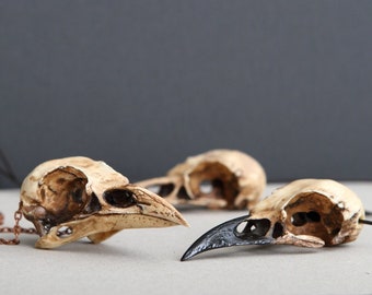 Raven Skull Replica Pendant Bone Jewelry Raven Skull Necklace Resin Cast Skull, Crow, Goth Bird Skull, Gothic Gift, Skull Jewelry