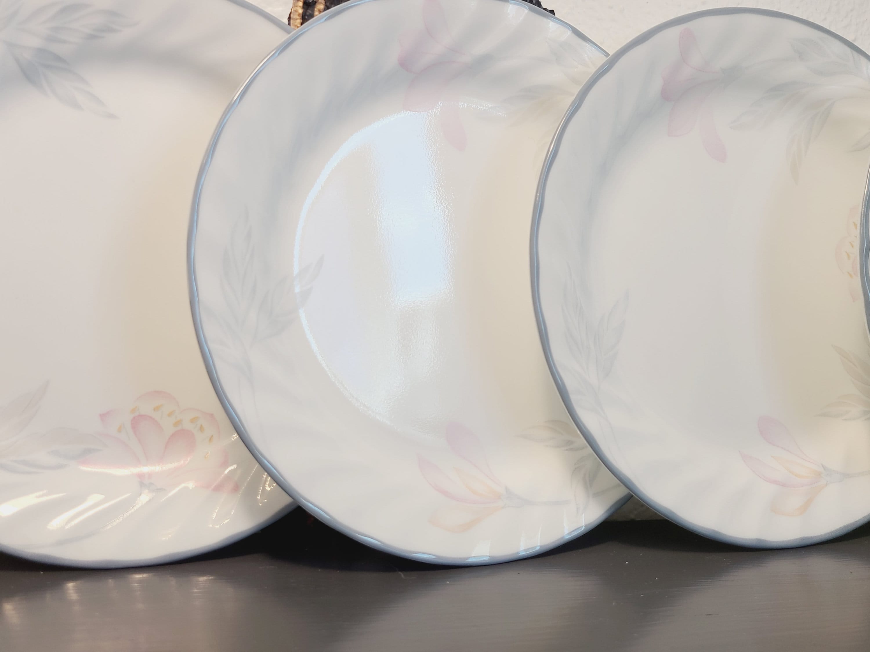 Corelle By Corning "Pink Trio" with Swirl Rim Set Of 2 Dinner Plates 