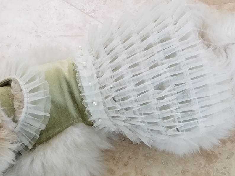Exquisite Dog Dress ~Wedding ~Black Tie ~Special Occasion ~Pet Outfit ~Small Puppy ~Fancy Dog ~Formal Dog Dress ~Dog Clothes ~Lace ~Pearls