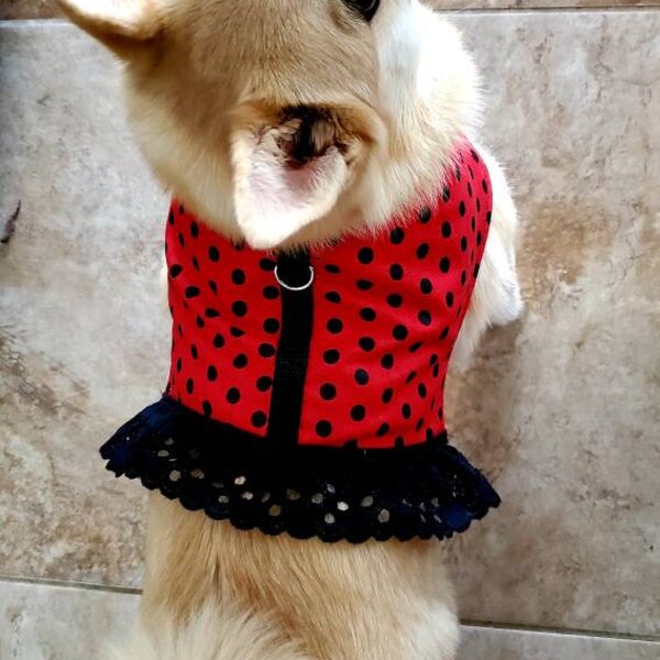 Xxs Dog Clothes Boy Etsy