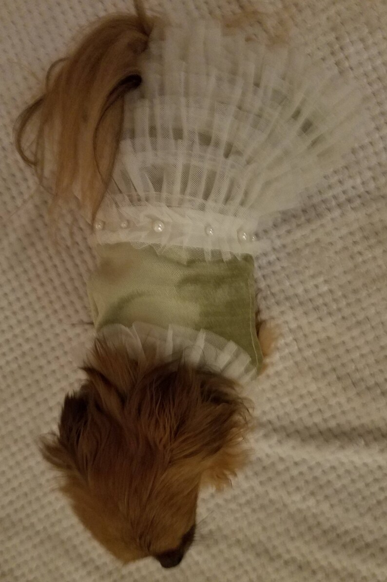 Exquisite Dog Dress ~Wedding ~Black Tie ~Special Occasion ~Pet Outfit ~Small Puppy ~Fancy Dog ~Formal Dog Dress ~Dog Clothes ~Lace ~Pearls
