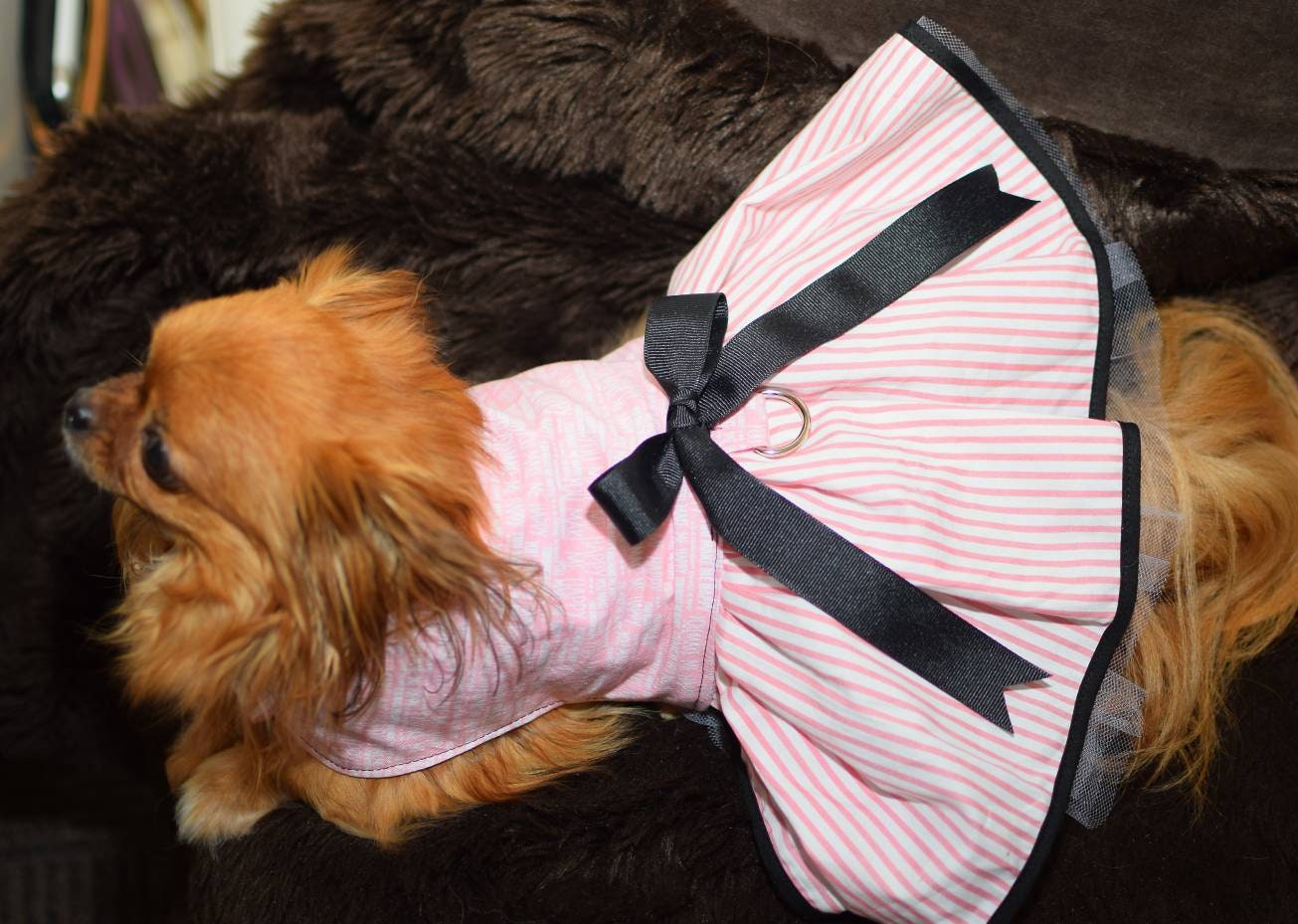 Kleding Meisjeskleding Jacks & Jassen Child Pink Jacket with Neck Scarf Costume Fancy Dress 