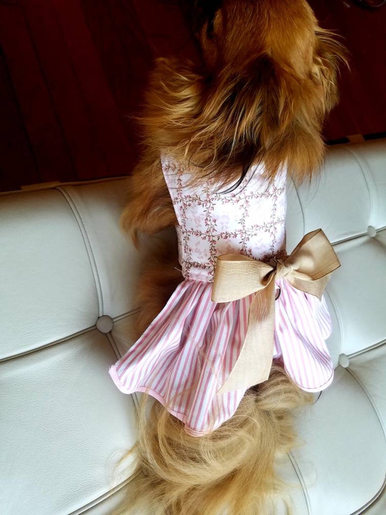 Dog Dress Harness pretty Dog fancy Dog puppy pet Apparel Etsy