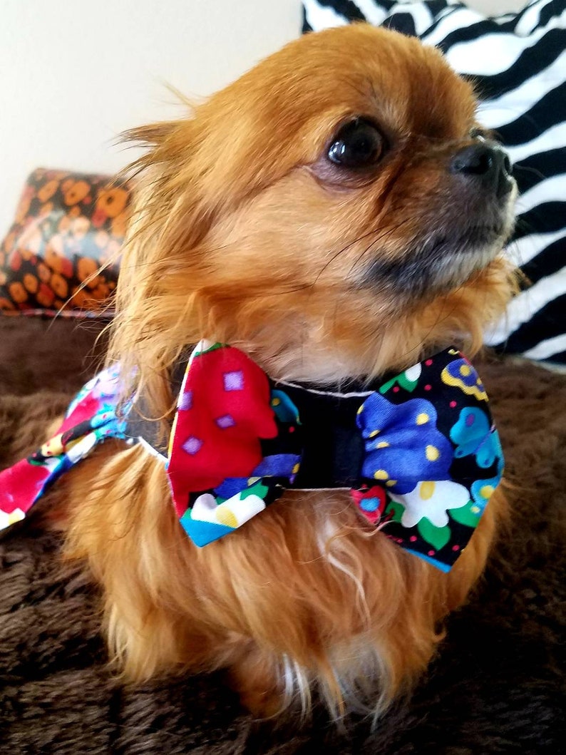 Butterfly Dog Dress ~Fancy Dog ~Puppy Dress ~Pet Apparel ~Dog Clothes ~Couture Pet ~Dog Outfit ~Pretty Dog Dress ~Cute Dog Clothes ~Harness