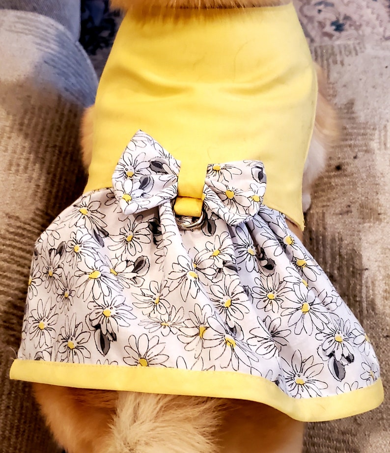 Dog Dress Spring/summer Daisies Yellow Cute Dog Clothes Etsy
