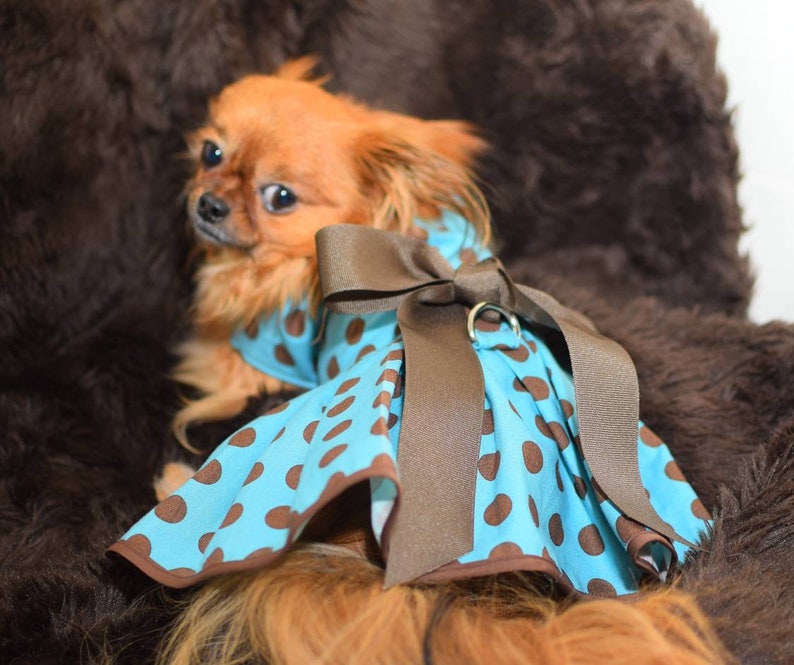 Dog Dress turquoise polka Dot fancy Dog puppy Dress pet Etsy