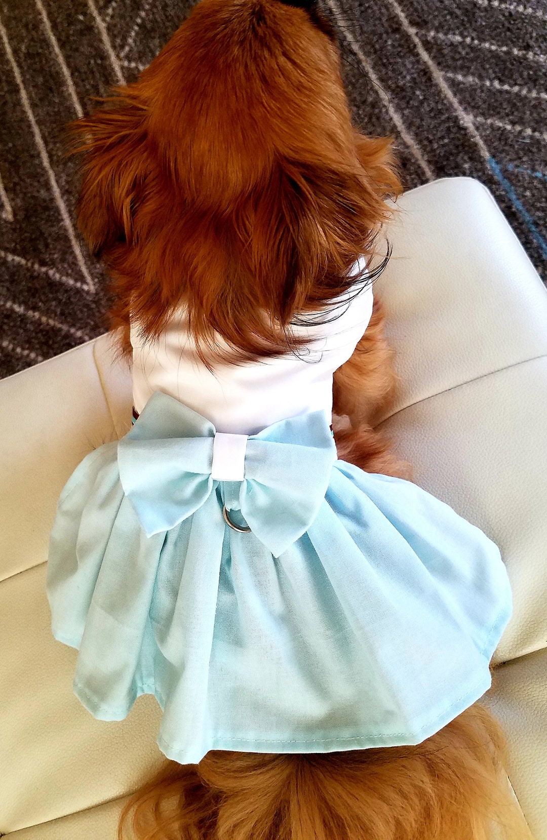 White & Blue Dog Dress puppy Dress pet Apparel dog Clothes Etsy