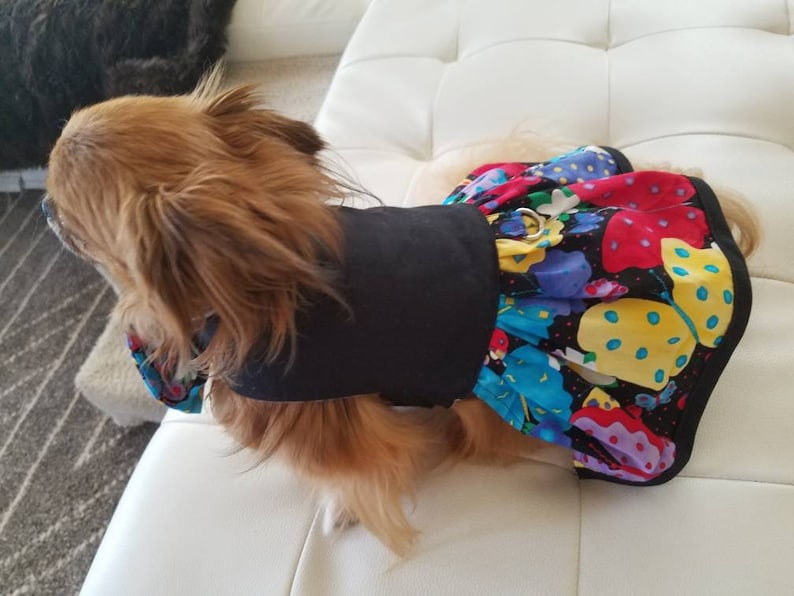 Butterfly Dog Dress  ~Fancy Dog ~Puppy Dress ~Pet Apparel ~Dog Clothes ~Couture Pet ~Dog Outfit ~Pretty Dog Dress ~Cute Dog Clothes ~Harness