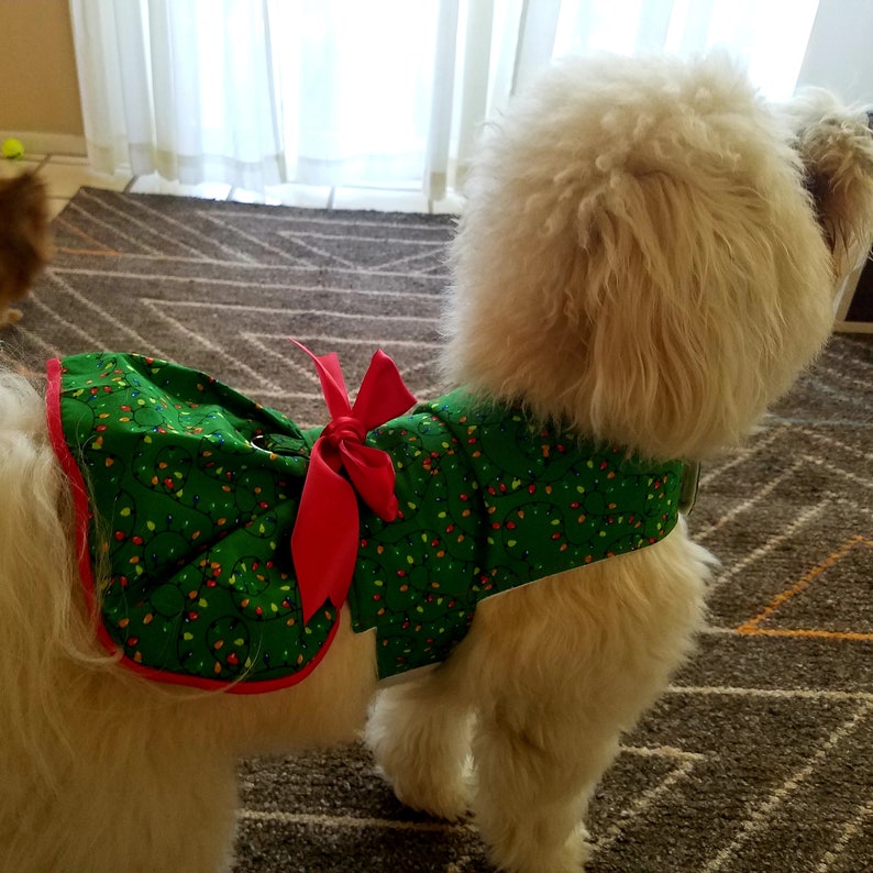 Holiday Dog Dress ~Christmas Lights ~Fancy Dog ~Puppy Dress ~Pet Apparel ~Dog Outfit ~Small Dog ~Cute Dog Clothes ~Christmas Dog Dress