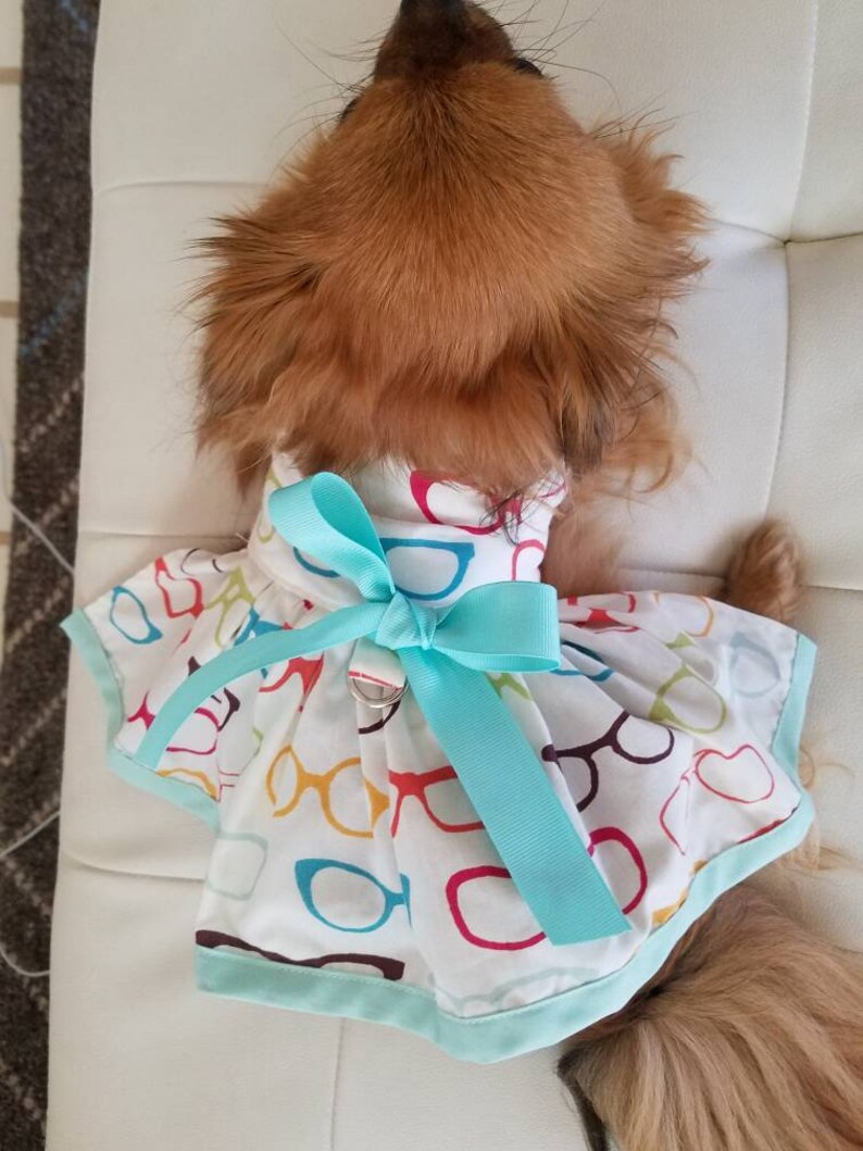 Dog Dress ~Eye Glasses ~Optical ~Puppy Dress ~Pet Apparel ~Cute Dog Clothes ~Beach Dog ~Dog Outfit ~Pretty Dog Dress ~Chic Summer Dog Dress