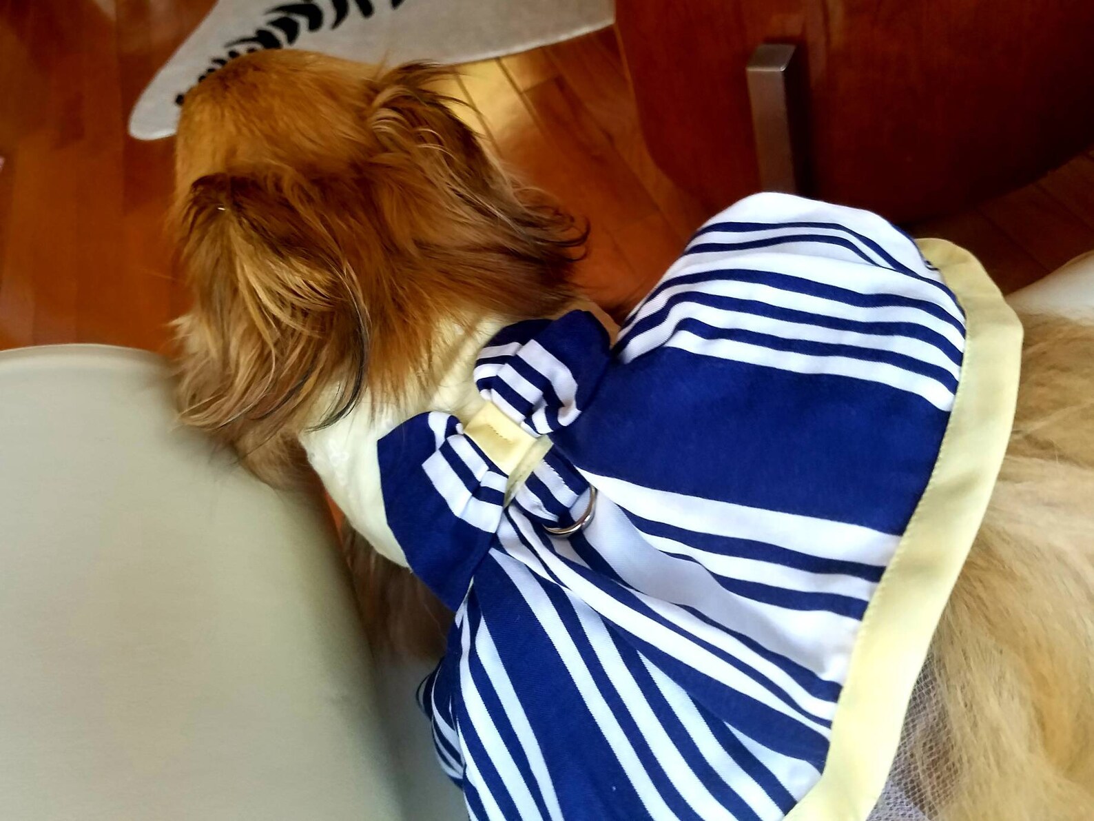 Dog Dress nautical puppy Dress pet Apparel dog Clothes Etsy