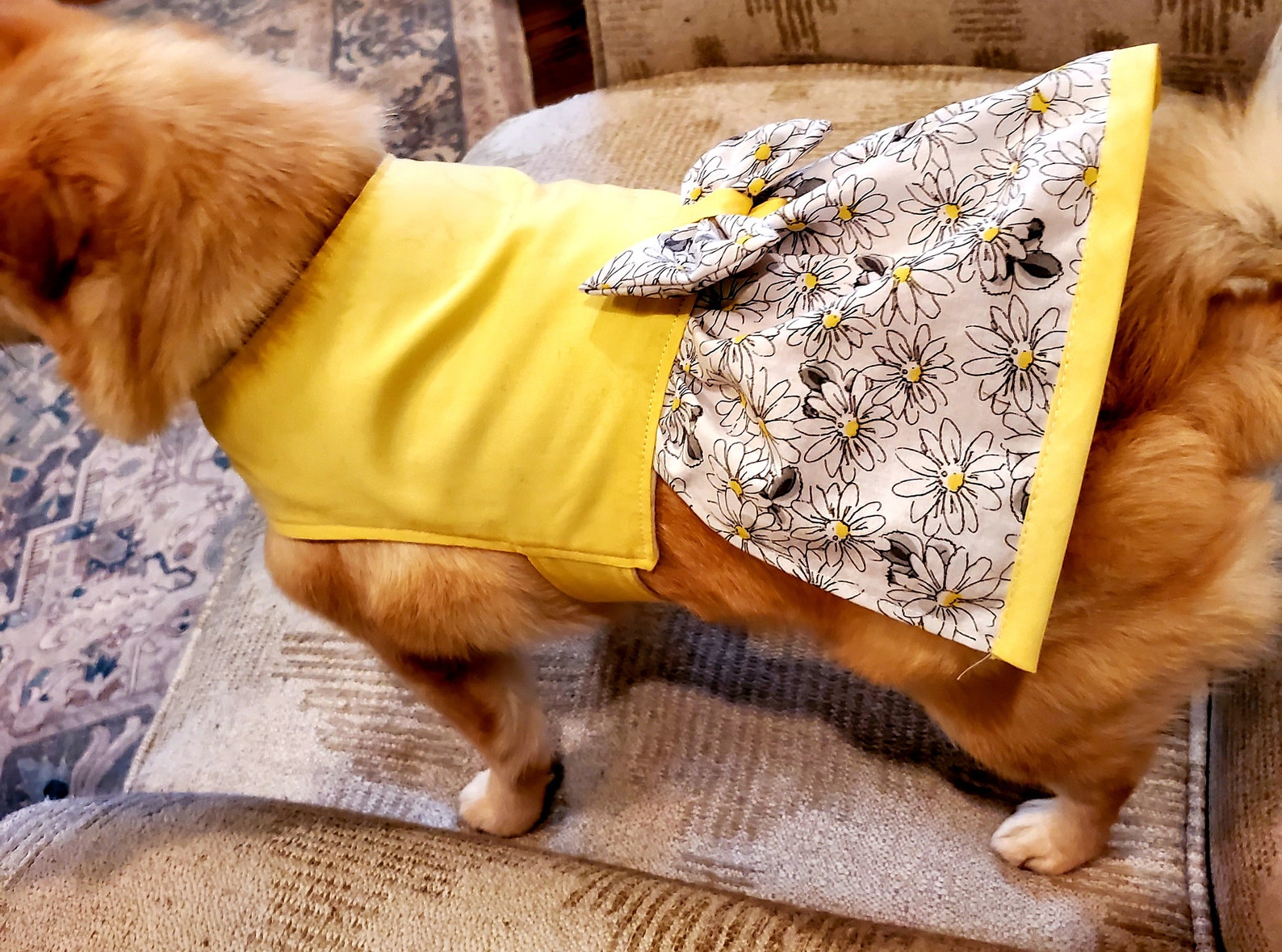 Dog Dress Spring/summer Daisies Yellow Cute Dog Clothes Etsy