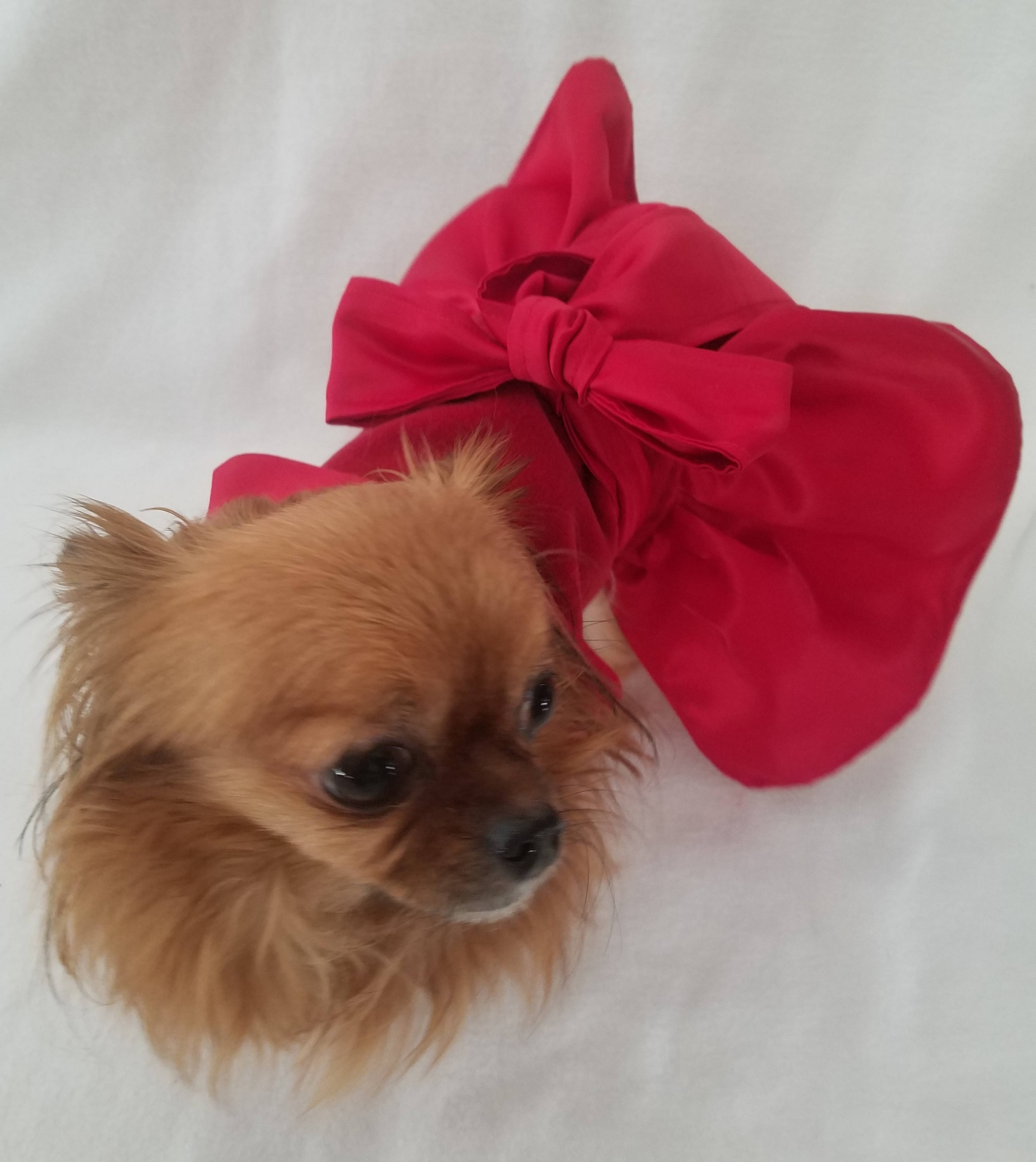 Red Velvet Dog Dress/Harness XXSL Valentine Dog Pet Clothes Etsy