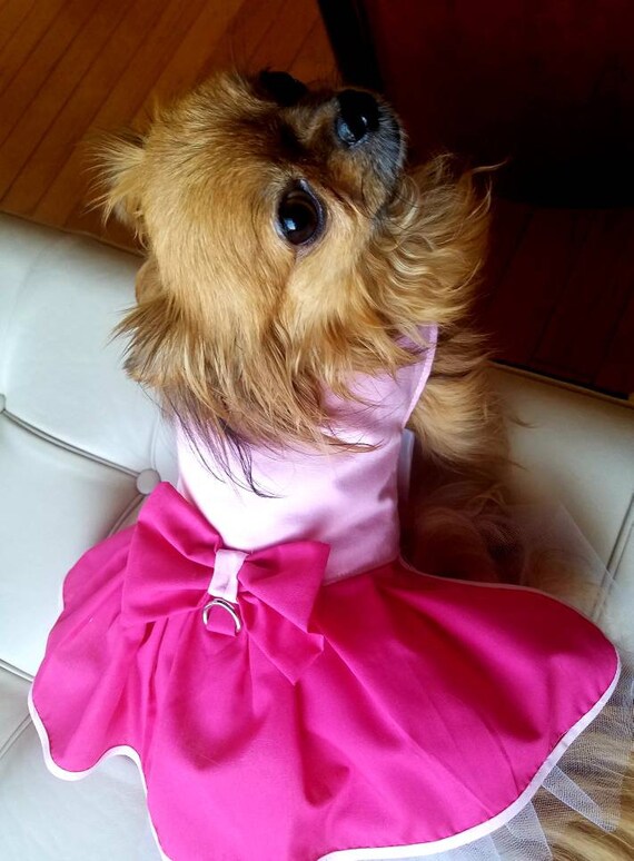Pink on Pink Dog Dress XXS-5XL pet 