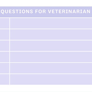 May include: A blank white sheet with the text "QUESTIONS FOR VETERINARIAN" at the top. The sheet is divided into seven sections with lines for writing.