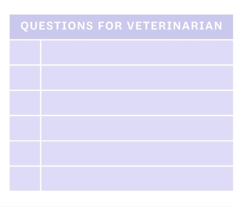 May include: A blank white sheet with the text "QUESTIONS FOR VETERINARIAN" at the top. The sheet is divided into seven sections with lines for writing.