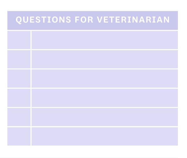 Pet Medication Tracker, Printable Medicine Log for Pet Owners, Editable ...