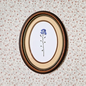May include: An oval framed pressed flower artwork. The dark brown frame has a gold inner trim. The artwork features a delicate blue flower on a white background, set against a tan mount.
