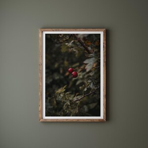 Autumn Berries I | Fine Art Giclee Print, Photography Print, Wall Art, Home Decor