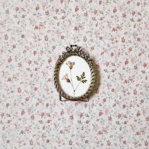 May include: An oval, antique-style, bronze-coloured frame with a pressed flower arrangement. The frame has ornate detailing and holds a white background with a delicate floral display. The background is a floral pattern with small pink flowers.