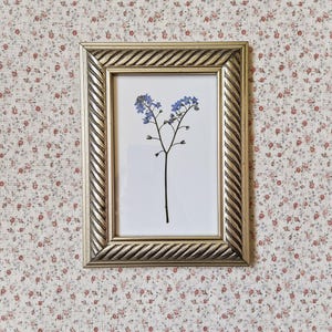 May include: A framed botanical print featuring a delicate sprig of blue forget-me-not flowers. The gold-coloured frame has a textured, rope-like design. The background is a floral patterned wallpaper with small red and pink flowers.