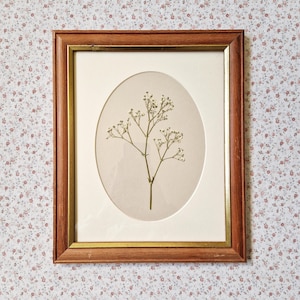 May include: A framed botanical print of dried flowers. The artwork is set within an oval mount and a wooden frame with a gold inner edge. The rectangular frame has a warm, brown finish. The frame's dimensions are approximately 25 cm x 30 cm.