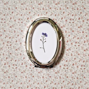 May include: A silver oval picture frame displaying a pressed blue flower on a white background. The frame is set against a floral patterned background.