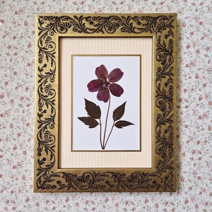 May include: A pressed dark purple flower with green leaves centred on a white background inside a rectangular gold frame. The frame features an ornate, embossed scrollwork pattern along its border, surrounding a cream-coloured mat board.