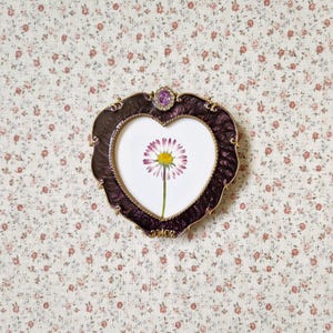 Pressed Flowers in Preloved Frames | Daisy 001, Vintage Frame