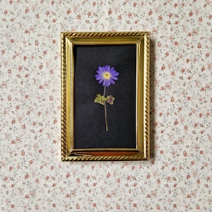 May include: A framed pressed flower artwork. The gold frame surrounds a black background with a single purple flower with a yellow centre. The flower is mounted on a stem with green leaves. The background is a floral pattern.
