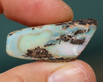 Opale Boulder naturelle (Pipe Opal) - Pierre de collection d'Australie