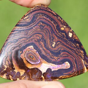 May include: A triangular gemstone displaying a swirling pattern of dark brown, purple, and gold. The polished surface reveals intricate layers and a unique, organic design. The gemstone is held against a blurred green background.