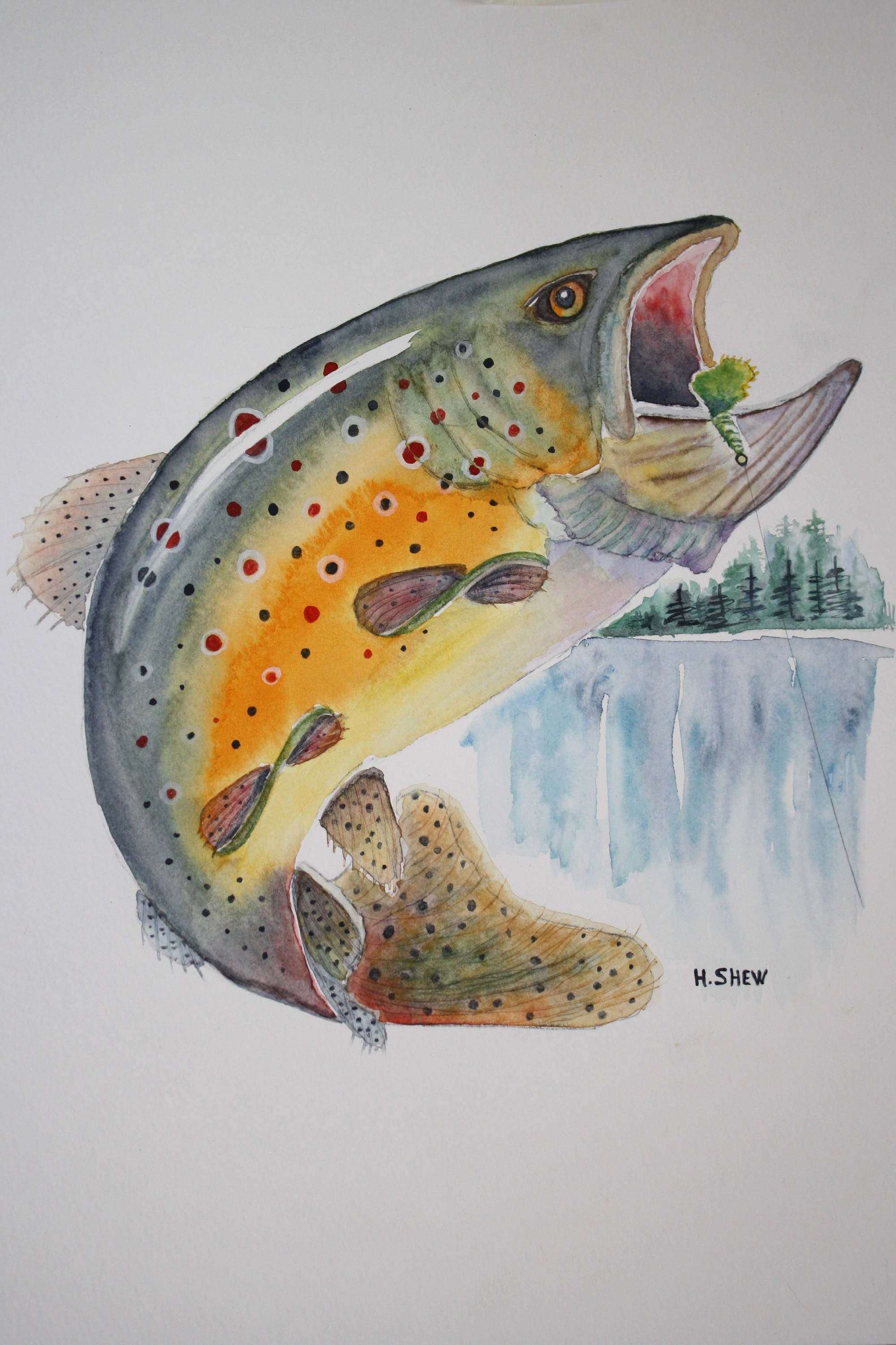 Brown Trout Watercolor Art Print Jumping Trout Art Print Etsy